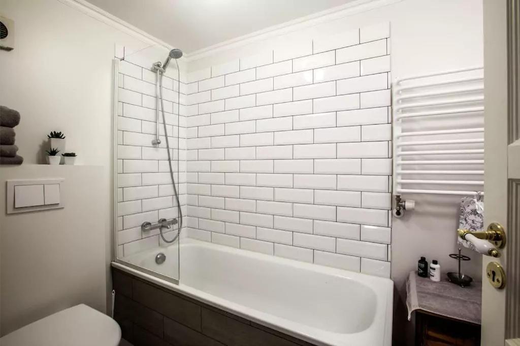 Grey Apartments レイキャヴィーク エクステリア 写真